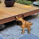 thumbnail image 1 of Estatua de perro para jardín, coleccionable, hecha a mano, de resina, escultura de animal adorable, figura de cachorro para sala de estar, boda, perro que orina, 1 of 8
