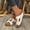 White, variant on Womens White Wedge Slide Sandals - Low Heel Comfortable Walking Mules, Easy Clean Synthetic Faux Leather Casual Summer Sandals,Size 9