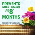 thumbnail image 4 of Roundup Weed Barrier Granules for Weed Prevention, 5.37 lbs., 4 of 13