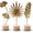 Sunshine, Feather, Ginkgo, variant on Leaf Home Decor Set - Leaves Statues, Modern Artistic Sculptures & Home Decorative, Handmade 3D Botanical