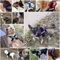 thumbnail image 5 of DABEI Reflective No-Pull K9 Dog Harness For Small And Medium Dogs - Comfortable And Secure Pet Harness For Outdoor Activities, 5 of 19