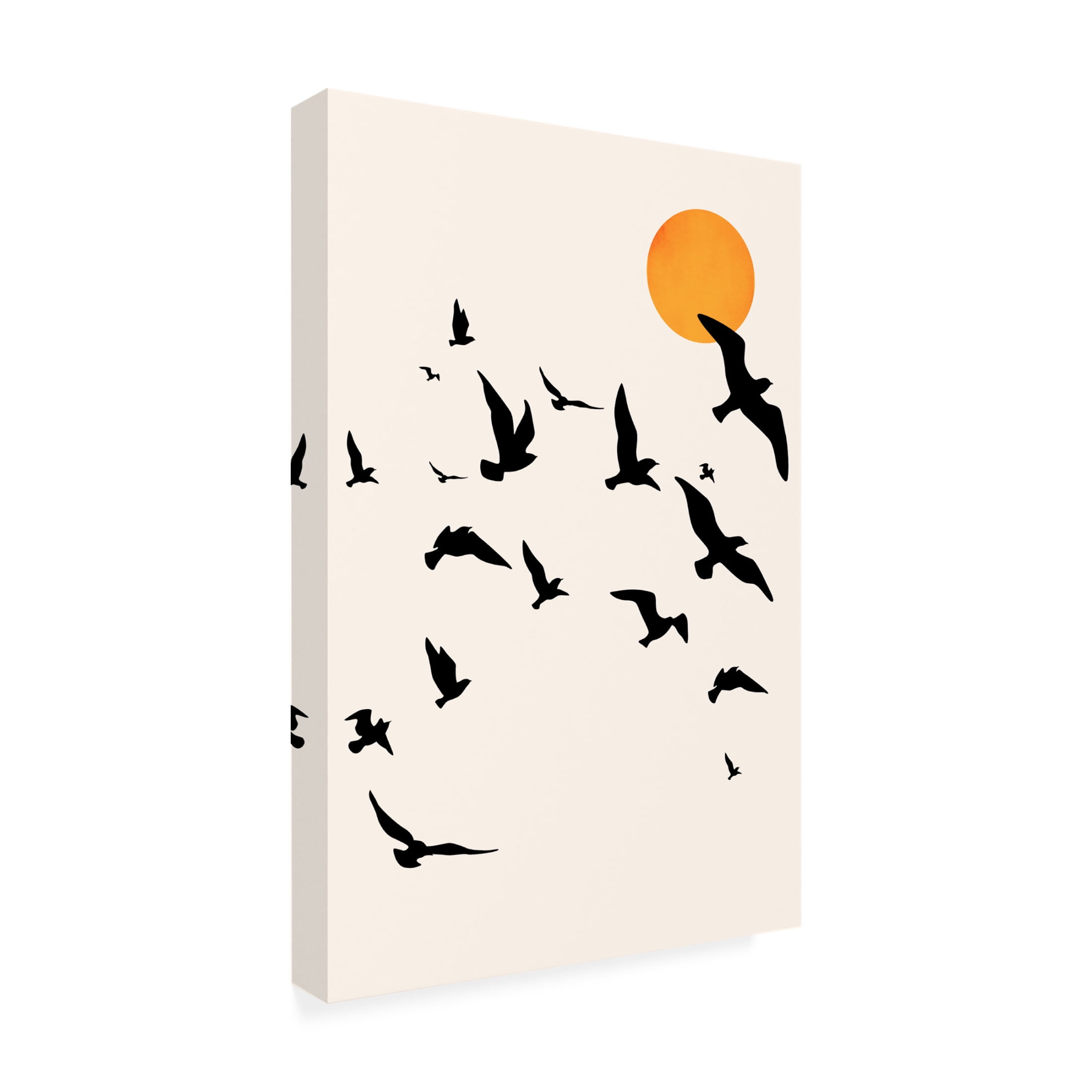 Trademark Fine Art Kubistika Dancing In the Sky Canvas Wall Art
