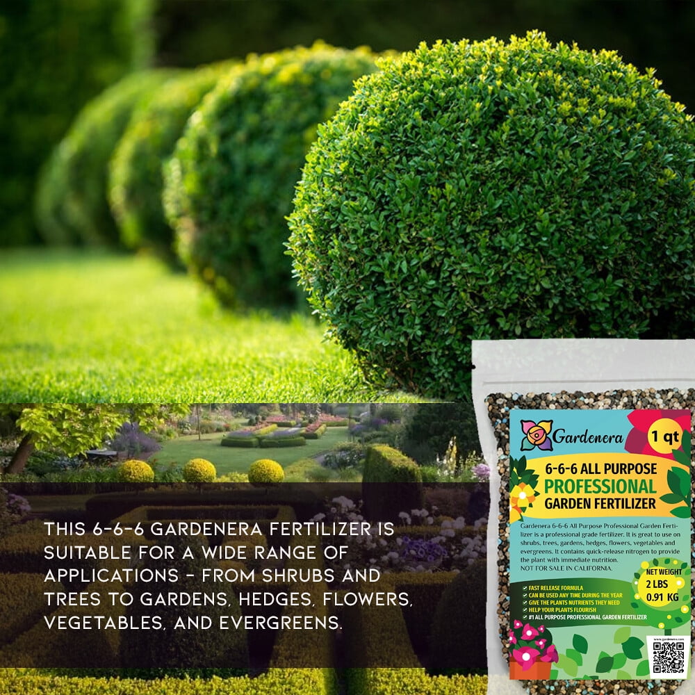 JIN LOVA 6-6-6 All Purpose Garden Fertilizer, 1 Quart with Balanced Nutrients for Plants