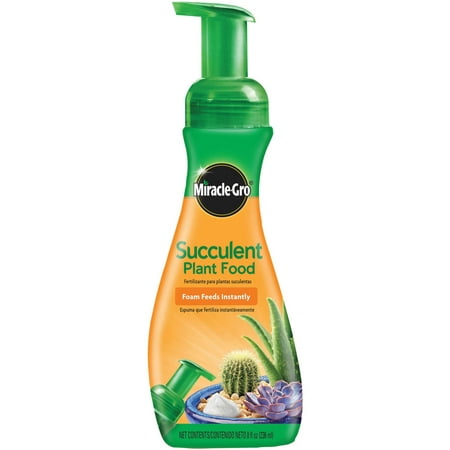 Miracle-Gro Succulent Plant Food, 8 oz (Best Fertilizer For Succulents)