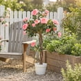 thumbnail image 2 of Outsunny Arbre Décoratif de Roses Artificielles avec Fleurs Réalistes, Rose, 2 of 10