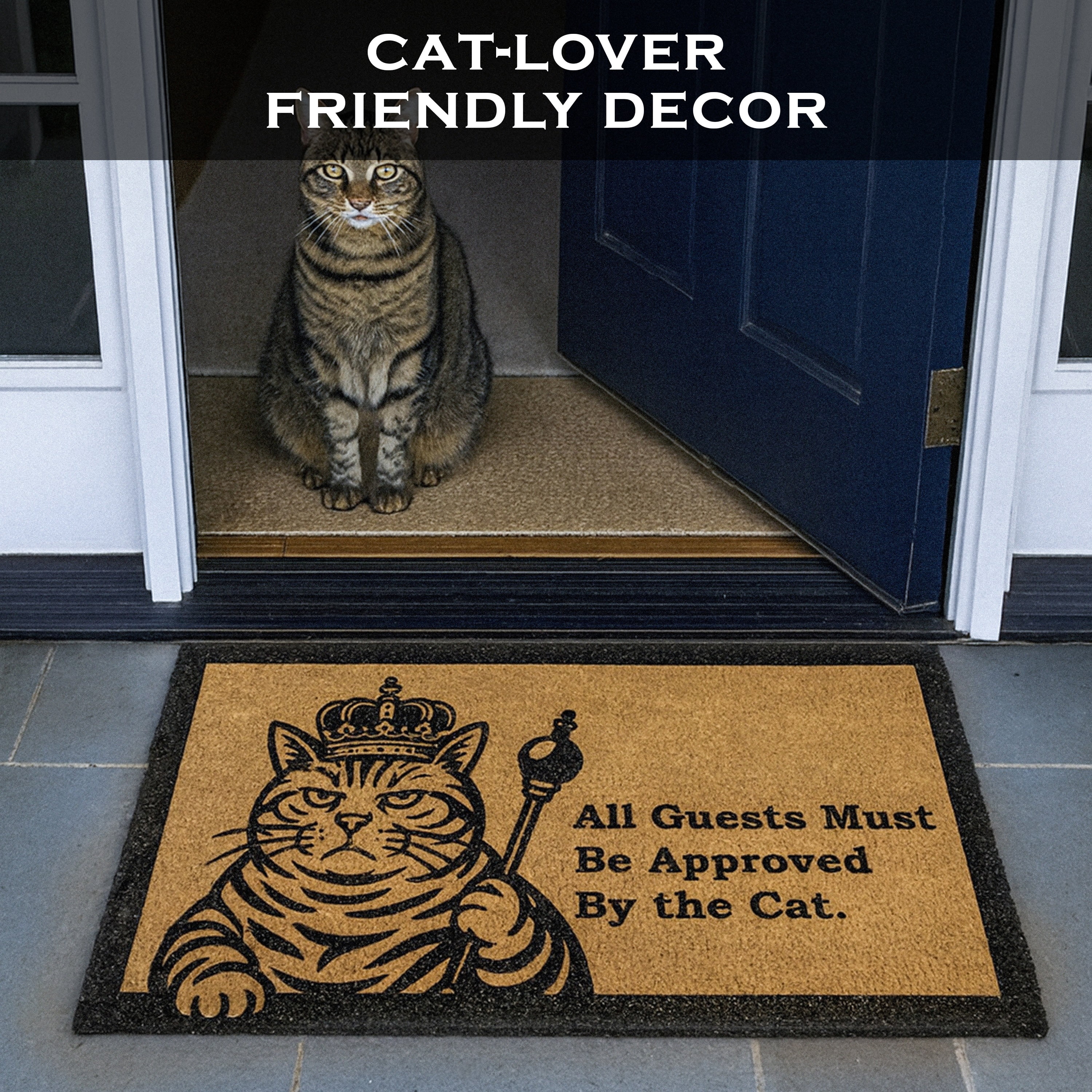 MAINEVENT Cat Approved Coir Doormat 30x17 Inch, Funny Outdoor Welcome Mat for Outside