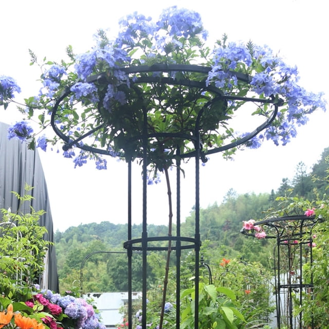 Outdor Vertical Garden For Climbing DIY Assembly No Required Perfect For Roses Wisteria And More