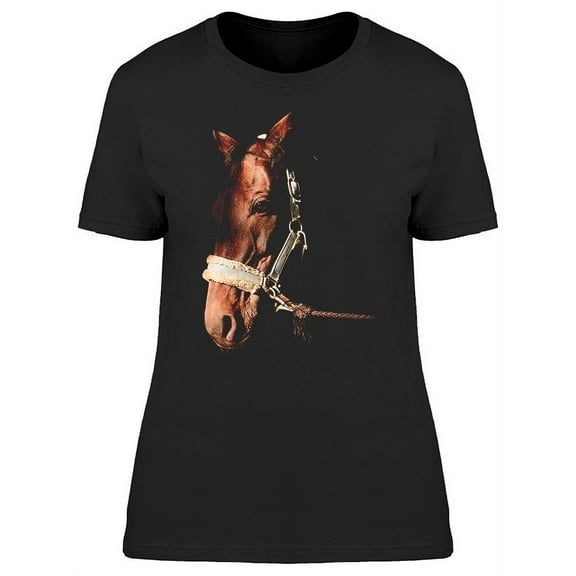Horse Artistic Photo T-Shirt Women -Image by Shutterstock Women T-Shirt, Female Medium