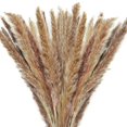 thumbnail image 1 of Hierba de pampa seca, 60 tallos, decoración de hierba de pampa natural, flores secas Afortunado Sencillez, 1 of 5