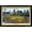 Black Framed Version, variant on MLB Pittsburgh Pirates - PNC Park 22 Wall Poster, 22.375" x 34"