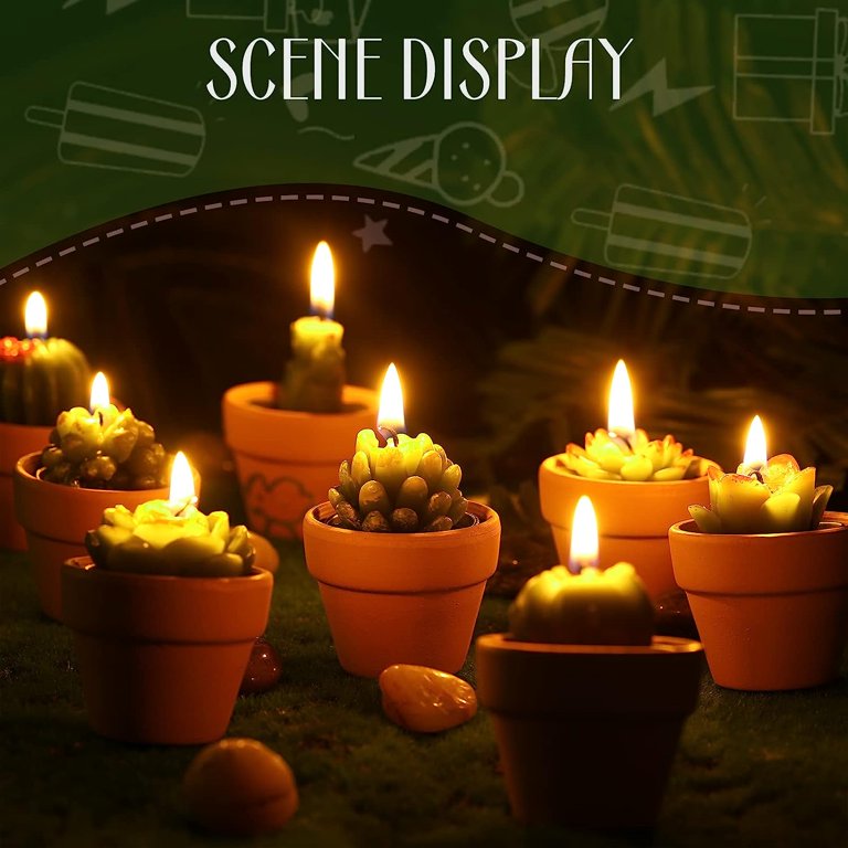 18pcs Cactus Tealight Candles Tea Party Decorations Succulent Baby Shower Fiesta Party Favors Home Decor Plant Gifts T Light Candles in Bulk