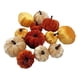 thumbnail image 2 of Juego de calabazas artificiales Macarena Naranja C-naranja 12 piezas accesorios de calabaza, 2 of 7