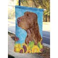 thumbnail image 2 of Carolines Treasures SS4159CHF 28 x 40 In. Field Spaniel Flag Canvas- House Size, 2 of 4