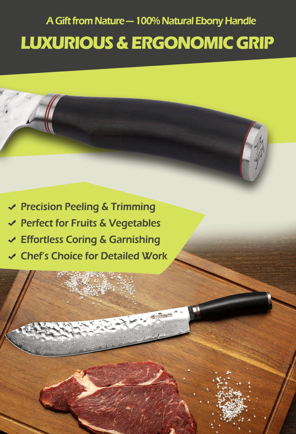 YOUSUNLONG 10 Inch Bull Nose Pro Butcher Knife, Japanese 67 Layers Hammered Damascus Steel