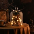 thumbnail image 3 of 10" High & 7.5" Wide Handmade Sturdy Clear Glass Cloche Dome, Bell Jar,  Tabletop Decorative Case For Plants, Trinkets, Cakes, Figurines, LED Light String, 3 of 6