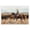 Southwestern Cowboy Rounding Cattle, variant on Stupell Industries Rustic Lodge Equestrian Round Up Canvas Art, 24 x 16, by Nina Blue