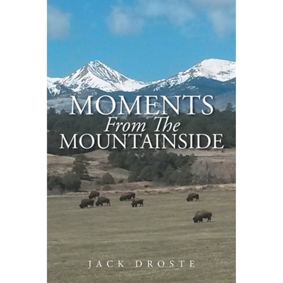 Moments From The Mountainside (Paperback)