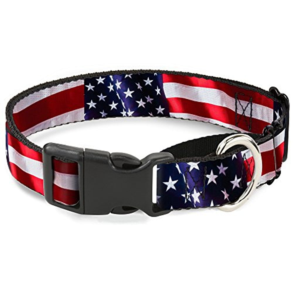 BuckleDown American Flag Vivid CloseUp Martingale Dog Collar