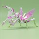 thumbnail image 4 of 52TOYS Beast Box Lotus Orchid Praying Mantis Steam Wave Mismo estilo Transform Toy Model Trendy Play Mech Handheld Gifts, 4 of 5
