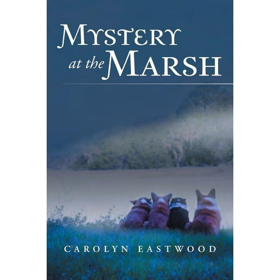Mystery at the Marsh (Paperback)