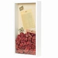 thumbnail image 3 of Long Shadow Box Frame Display Case Kit, 4x14.6" Rectangle 3D Frame with Shell for Beach Shells and Dried Flowers, Panoramic Wall Art for Home Decor, 3 of 7