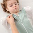 thumbnail image 2 of Boys Girls Sleeping Bag Swaddle Blanket Anti Wake Swaddle Anti Kick Mesh Comfort Breathe Mint Green 6 Months-9 Months, 2 of 8