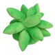 thumbnail image 2 of Almohada de suculentas de imitación, almohada de tiro suculenta, lindo juguete de peluche con forma de planta, decoración del hogar, 17,7 pulgadas, verde hierba, 2 of 5