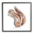 thumbnail image 2 of Stupell Industries Baby Squirrel Watercolor Painting Kids' Wild Animal, 24 x 24,Design by Fox Hollow Studios, 2 of 5