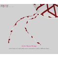 thumbnail image 5 of FBTS Prime 16x17 inch All-Weather Red Geometirc Outdoor Seat Pads, Pack of 4, 5 of 7