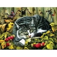 thumbnail image 1 of Cuadros Decorativos (DF3733) 5D DIY Taladro Completo Pintura Diamante Animal Punto de Cruz Kits de Mosaico (W1132) 20X30cm Tmvgtek embutido en tela, 1 of 1