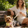 thumbnail image 4 of Bowknot Design Dog Harness with Matching Plaid Leash for Secure and Comfortable Walking Control, 4 of 4