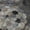 Black, variant on Addison Rugs Mayfield Premium Machine Washable Transitional Casual Sky Rectangle Rug, 10' x 14'