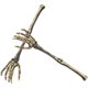 thumbnail image 3 of 1 par de cucharas de ensalada creativas de Halloween con forma de brazo de calavera, decoración artificial de brazo de calavera., 3 of 7