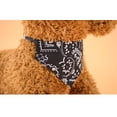 thumbnail image 5 of Pañuelo tipo bandana ajustable de 4 piezas a la moda para perros, adecuado para cachorros y gatitos (M), 5 of 5
