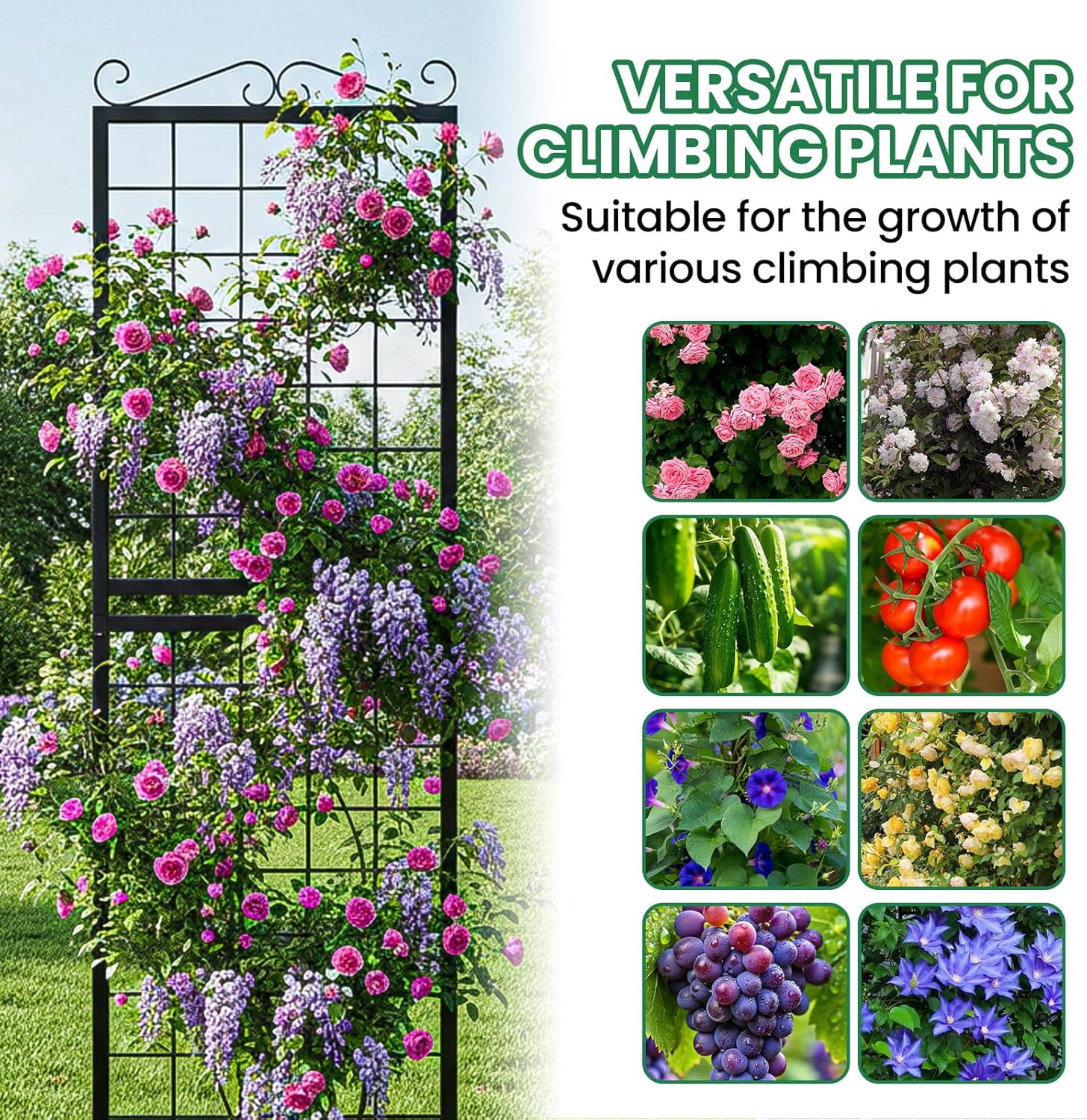2Pack Metal Garden Trellis for Climbing Plants Outdoor, 71x20in Metal Plant Support for Flowers Tomato Cucumber Rose Vegetable Garden Courtyards Lawns Decoration, Black