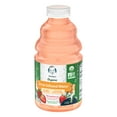 Gerber Fruit Infused Water Organic Hydration Toddler Drink Strawberry
