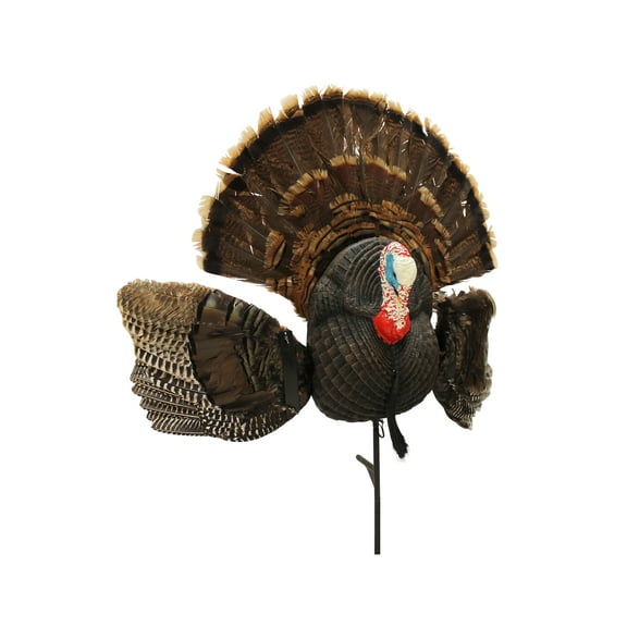 Mojo Outdoors Scoot N Shoot Turkey Decoy, 1pc