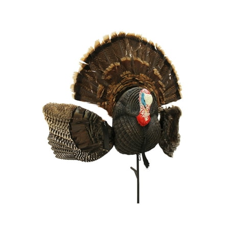 UPC: 0816740004365 | MOJO Outdoors Scoot N Shoot Turkey Decoy  1 Piece