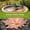 Yellow E 2PCS, variant on Naittoop Copper Bird Bath Disk,Triple-Point Support Design,Reinforced for Cleaner Disc Plate,Purification Bird Bowls Birdbaths Solar Maintenance All-Season 3.9 in