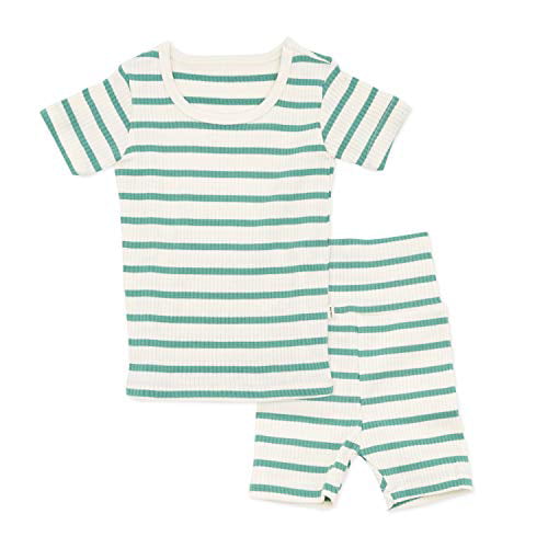 AVAUMA Baby Boys Girls Pajama Set 6M-7T Kids Cute Toddler Snug fit Pjs Cotton Sleepwear