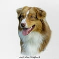 thumbnail image 2 of CafePress - Australian Shepherd 9K4D 16 - Adjustable Unisex Printed Trucker Hat with Mesh Back, 2 of 10