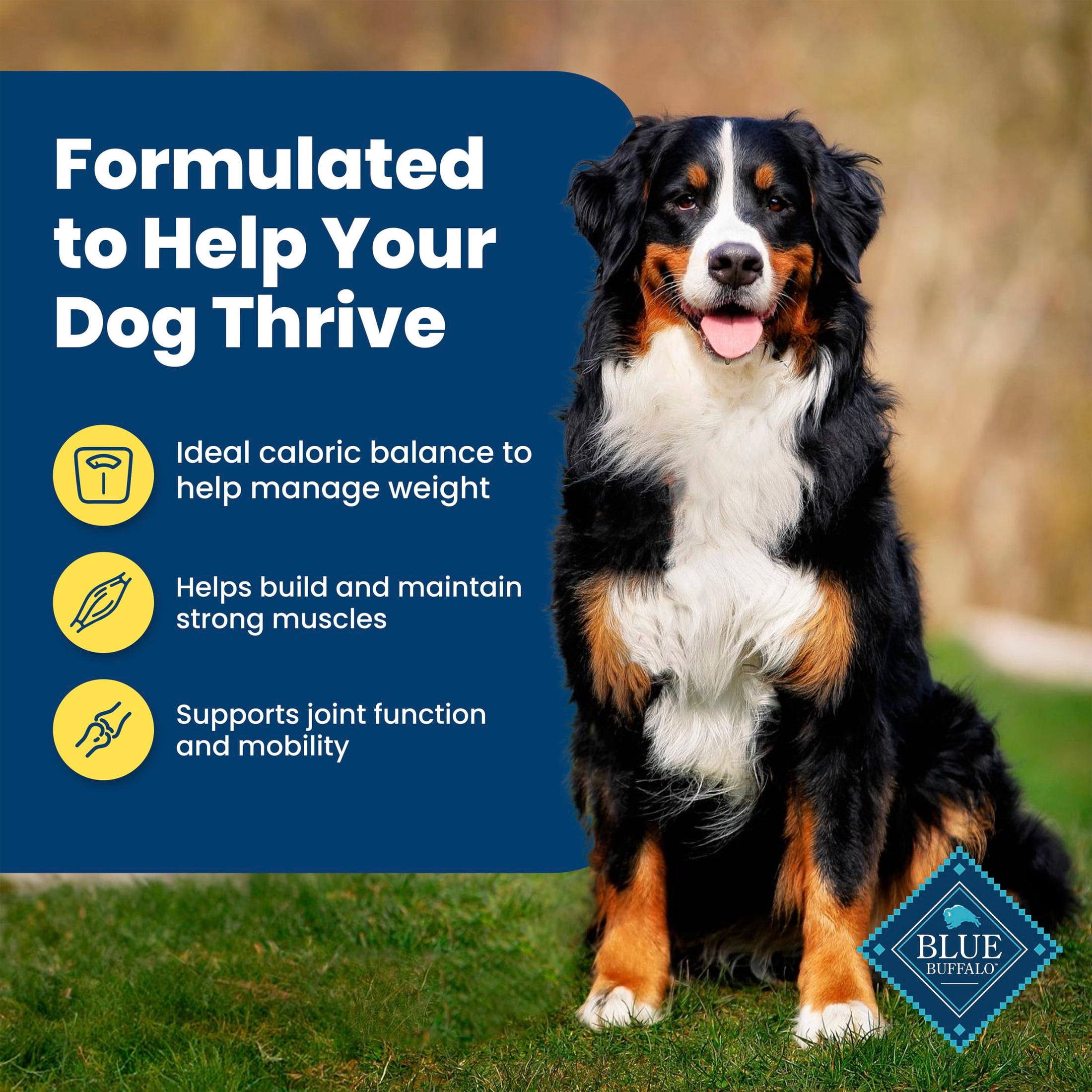 Blue Buffalo Life Protection Formula Healthy Weight Dry Dog Food, Chicken & Rice, 24lb Bag