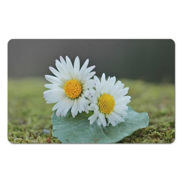 Add a Luxurious Touch with Floral Medallion Bathroom Rugs - Absorbent, Quick Dry Bath Mat, Spa Design - Glam Up Your Shower Room, 20x32 inch