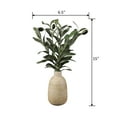 thumbnail image 3 of Mainstays 15” Artificial Olive Plant in Wood Finish Ceramic Vase, 3 of 11