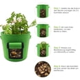 thumbnail image 3 of Bolsa para plantas de hortalizas de jardín con ventana, asa（verde, 2） Sailing Electrónica, 3 of 5