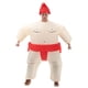 thumbnail image 1 of Traje inflable de sumo japonés para niños y adultos, traje inflable de dibujos animados, ropa de lucha de sumo multicolor, 1 of 5