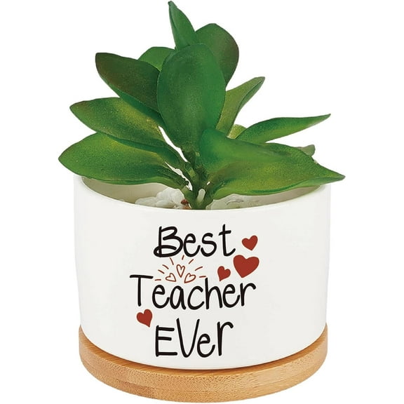Best Teacher Ever Cute Succulent Cactus Plant Pots White Ceramics Aloe Vera Flower Planter for Teacher Appreciation Planter Graduation Gifts(No Plants) Wood Tray Drainage Hole Indoor Outdoor