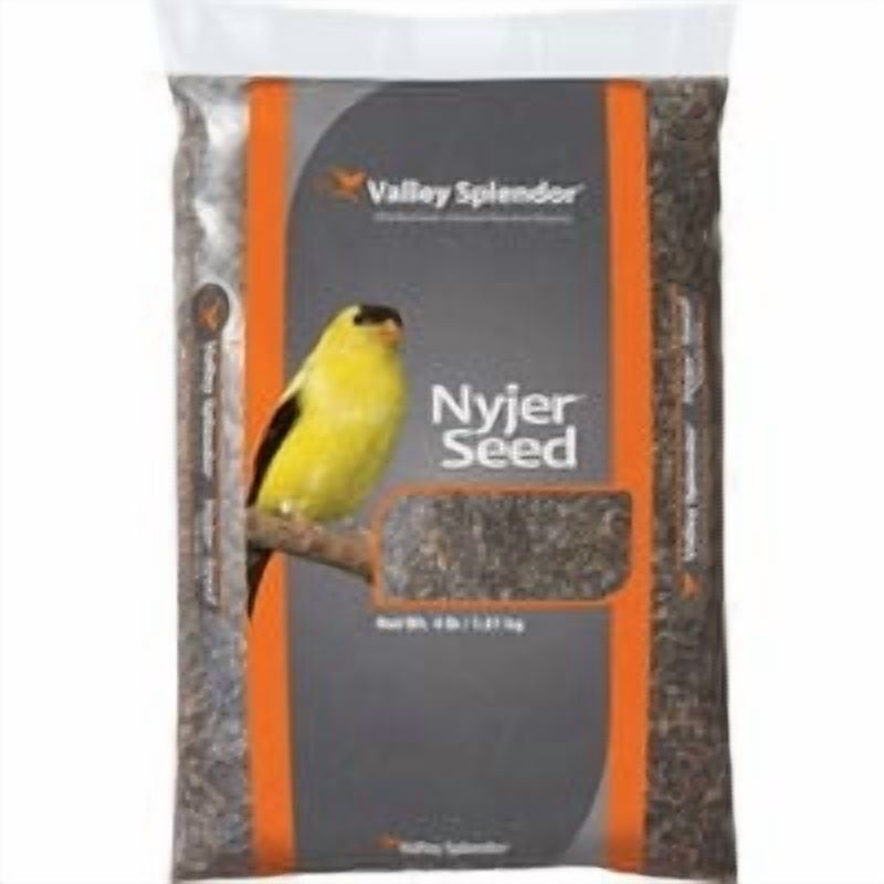 Red River Commodities Valley Splendor Nyjer Wild Bird Seed - Pack of 3