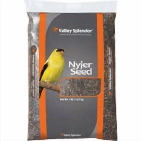 Red River Commodities Valley Splendor Nyjer Wild Bird Seed - Pack of 10
