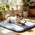 thumbnail image 6 of Pet Cooling Mats for Dogs, Cooling Pet Bed Outdoor & Indoor Use Summer Cover, Summer Cool Pad for Dogs Cats, Non- Washable Pet Blanket for Crate Kennel Travel, M (24.41"L x 19.69"W), 6 of 7